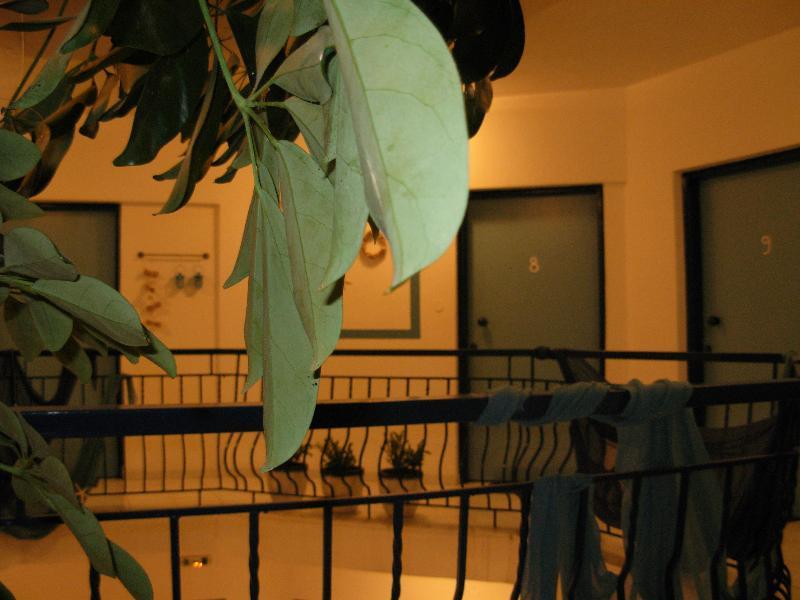 Aparthotel Anemos Polychrono